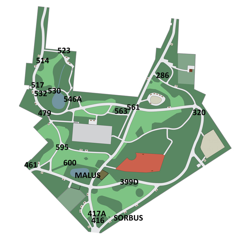 Automne au parc Tenbosch