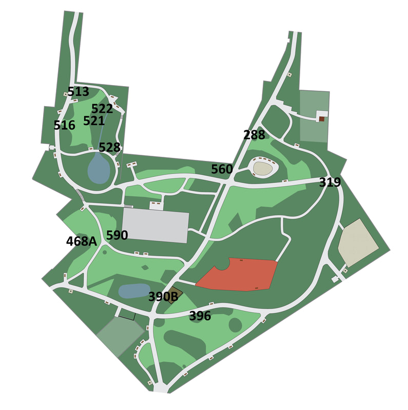 Été au parc Tenbosch