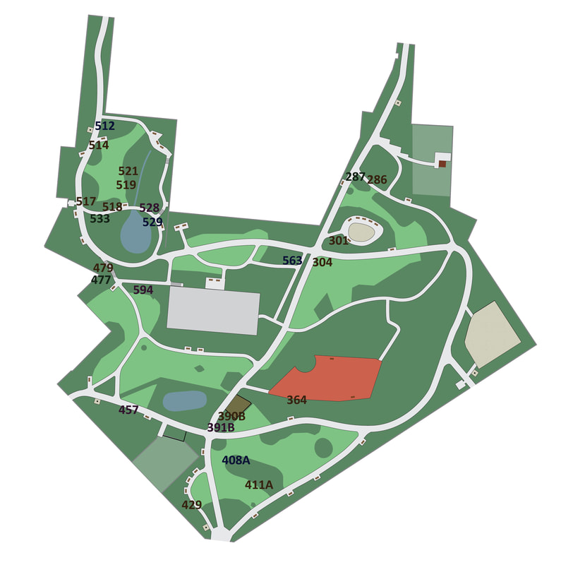 Plantes exotiques au parc Tenbosch