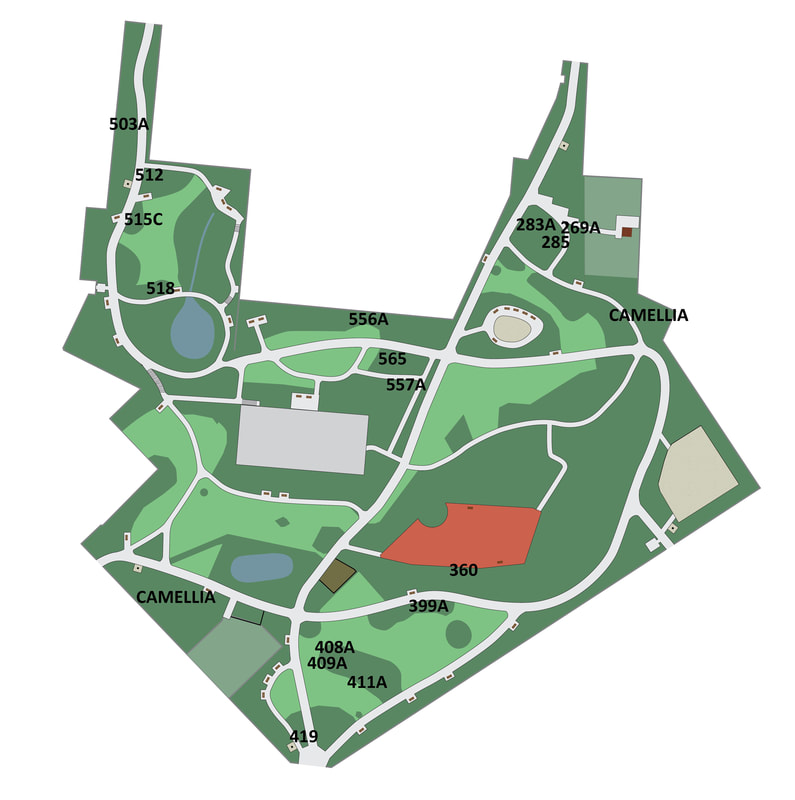 Hiver au parc Tenbosch